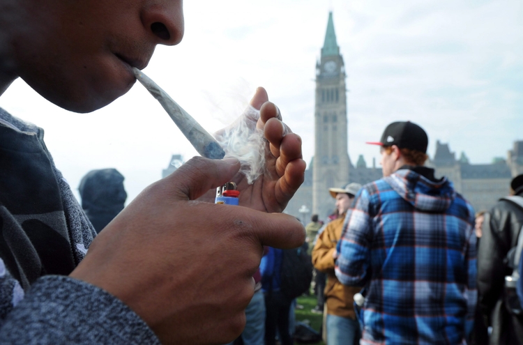 How Canada's Black Market Survived One Year of Legal Weed