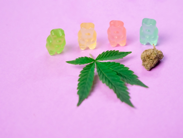 How to Get Your Cannabis Edibles in Toronto