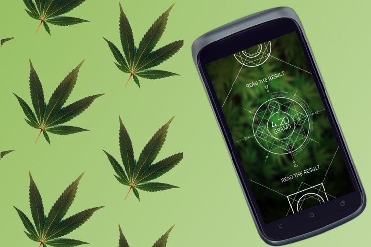 What Is A Weed Scale App And How Do They Work?
