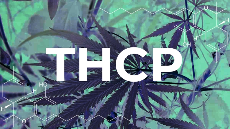 THCP Guide: The New Cannabinoid With Powerful Effects