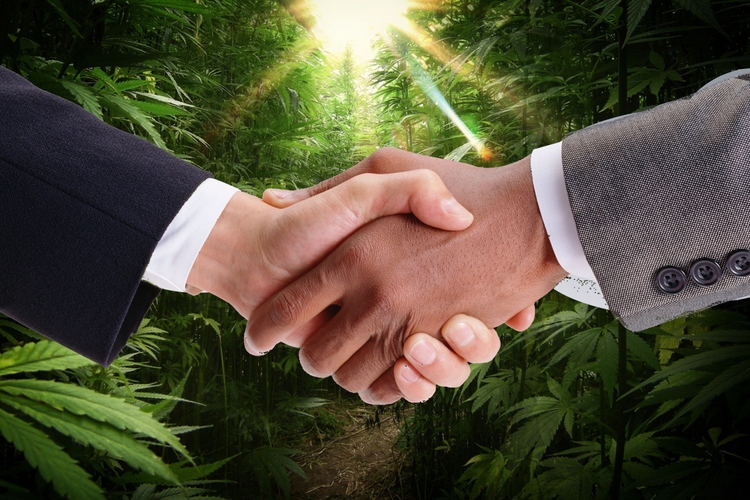 Cannabis Franchise - The Next Big Thing