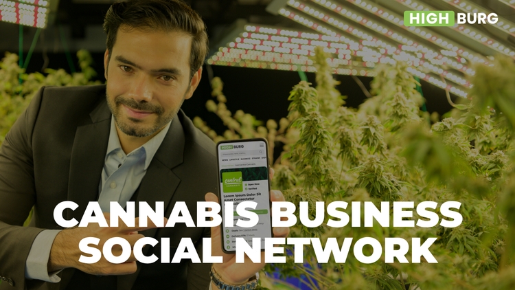 5 Cannabis Business Social Network Worth Joining in 2022