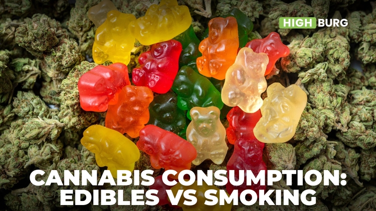 Cannabis consumption: Edibles Vs Smoking