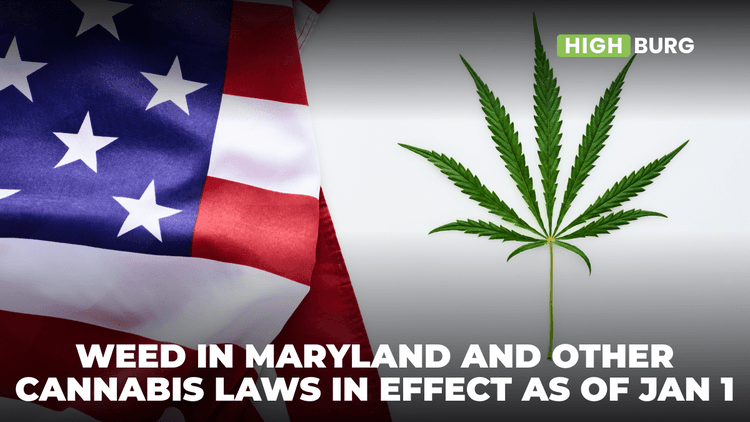 Weed In Maryland and Other Cannabis Laws in Effect as of Jan 1